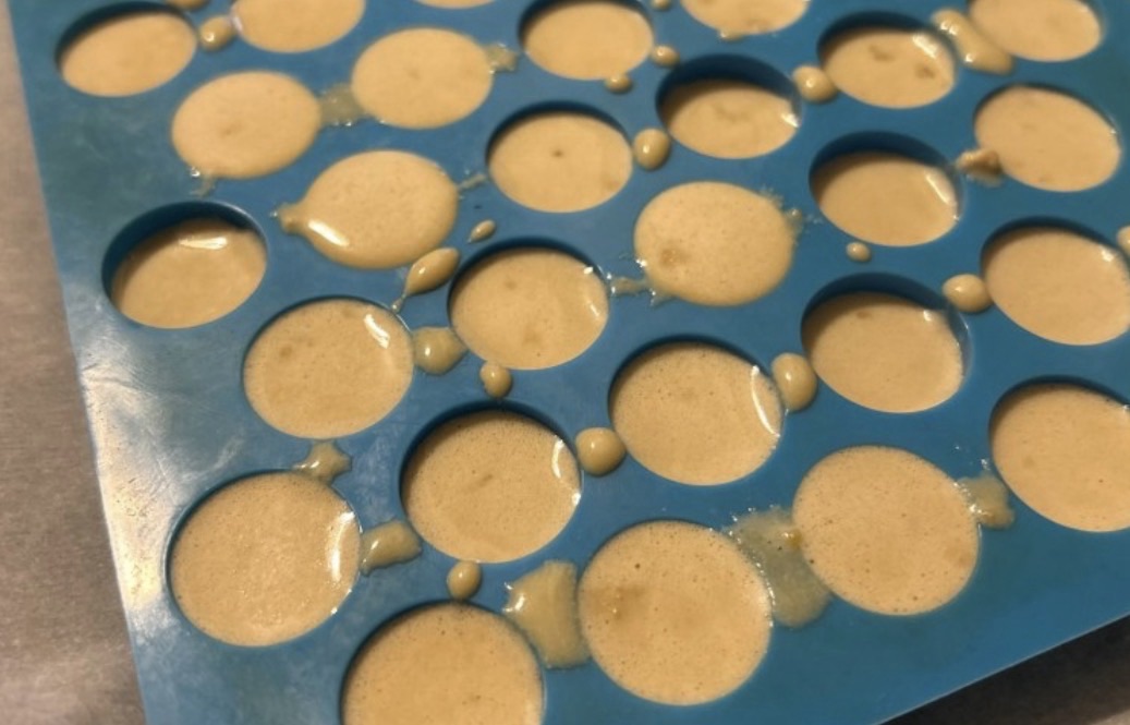 Easy Honey Treats for Rats